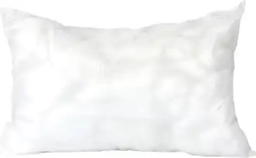 Lumbar Pillow Inserts: Vacuum-Sealed For Superior Comfort